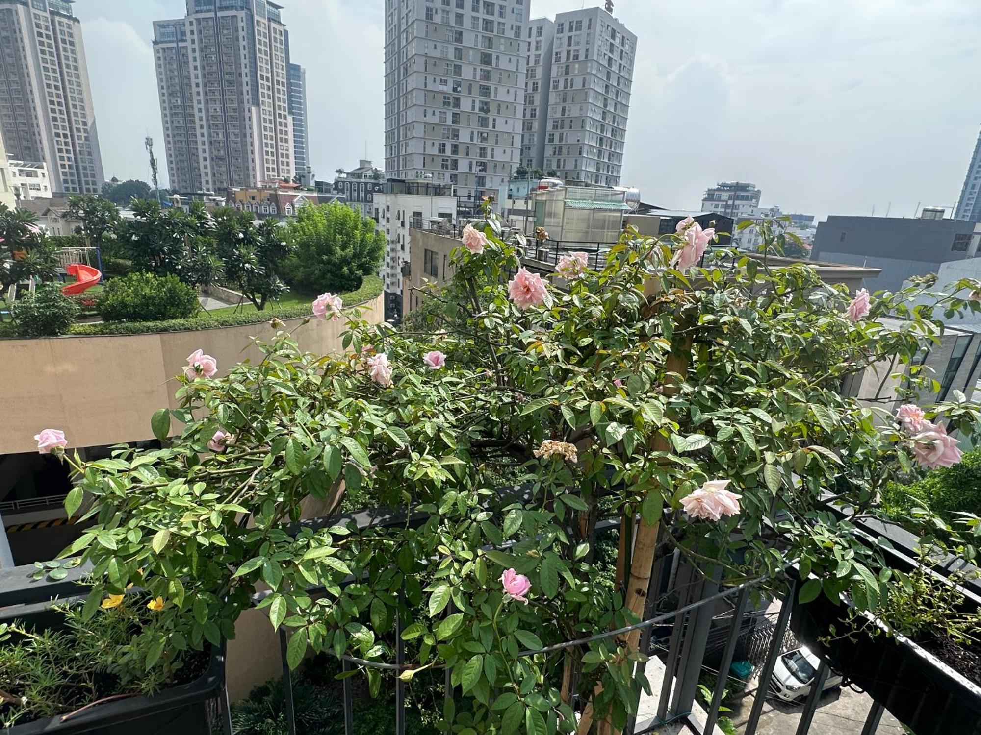 Homey Apartment Ho Chi Minh Zewnętrze zdjęcie
